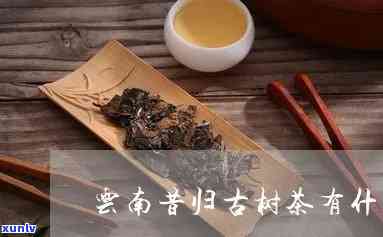 昔归茶的特点与功效-昔归茶的功效与作用