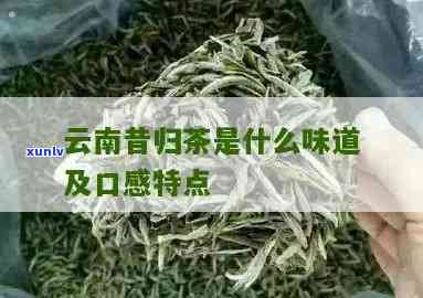 昔归茶的口感和香气-昔归茶的特点口感