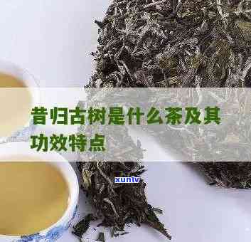 昔归茶的特点、功效与作用全解析