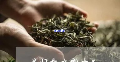 昔归茶的特点与作用-昔归茶的特点与功效