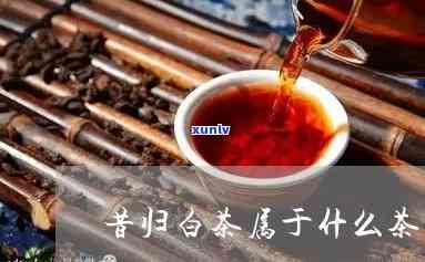 昔归茶的特点与作用-昔归茶的特点与功效