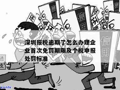 深圳报税逾期罚款吗-深圳报税逾期了怎么办