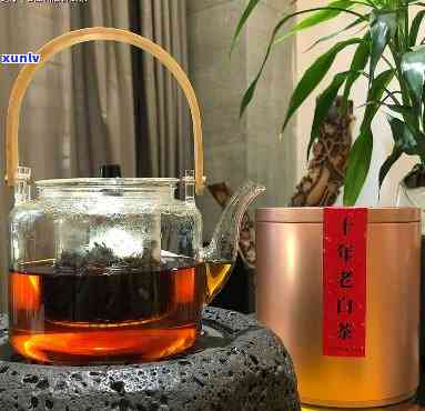 老板送我茶是什么意思，解析 *** 用语：‘老板送我茶’的含义是什么？