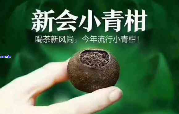 东新会小青柑介绍：特有品种，多种功效，值得一试