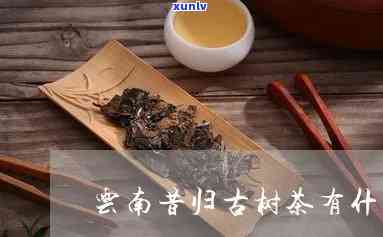 昔归茶的功效及作用-昔归茶的功效及作用及副作用