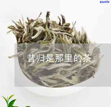 昔归的旁边是什么茶-昔归的茶叶是什么