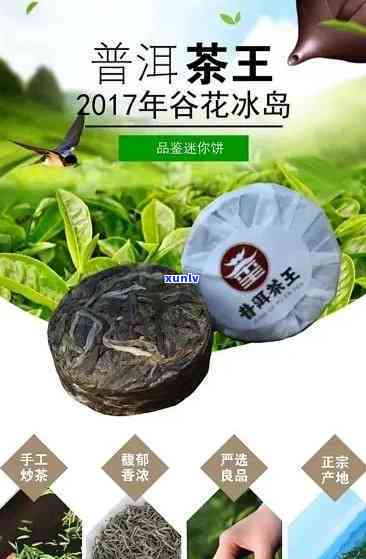 云南蕊兰馨冰岛饼茶：探寻顶级普洱茶的源头与韵味