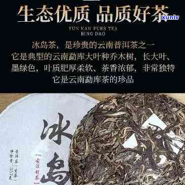 云南蕊兰馨冰岛饼茶：探寻顶级普洱茶的源头与韵味