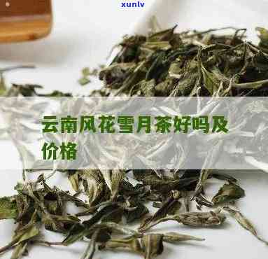 云南风花雪月茶叶，品味云南：探索风花雪月的茶文化之旅