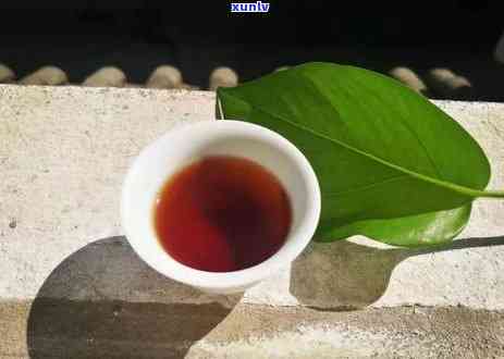 景迈茶和昔归茶比较-景迈茶和昔归茶比较哪个好