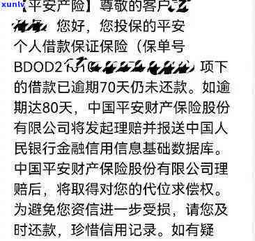 平安报单宝贷款逾期-平安报单宝贷款逾期怎么办