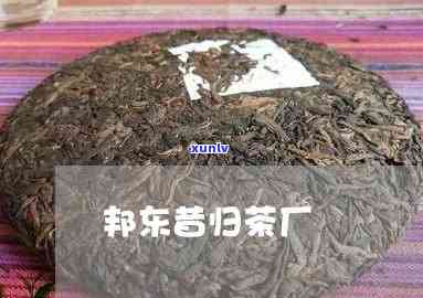 邦东茶区昔归茶价格-邦东昔归茶厂