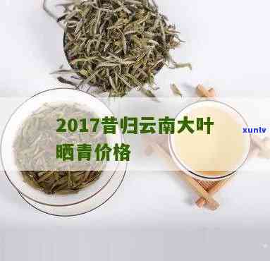 昔归晒青茶是什么茶-昔归大叶种晒青茶价格