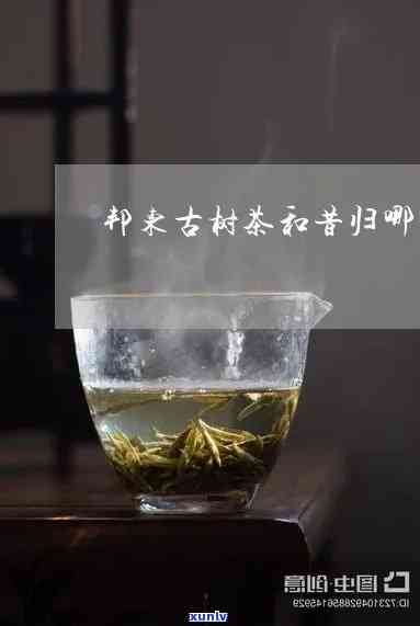 曼谷邦东茶与昔归茶-曼谷邦东茶与昔归茶哪个好