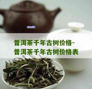 云南千年古茶树价格-云南千年古茶树价格表