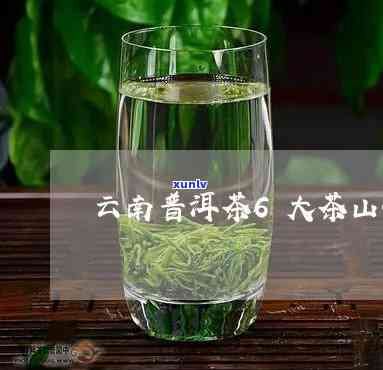 云南六大名山茶价格-云南茶叶六大名山