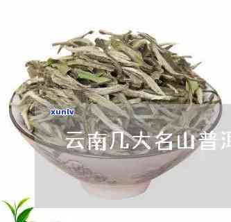 云南六大名山茶价格-云南茶叶六大名山