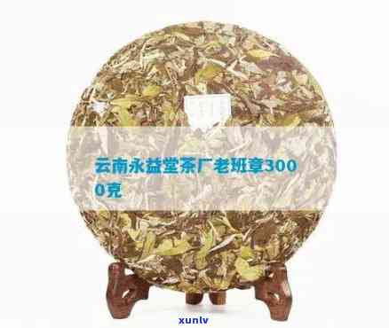 云南永益堂茶厂：老班章3000克特级普洱茶