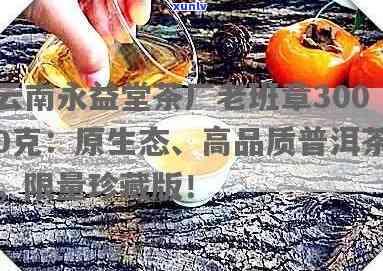 云南永益堂茶厂：老班章3000克特级普洱茶