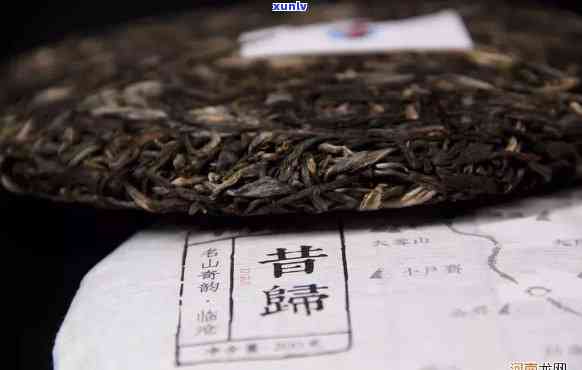 昔归茶外形特征区别-昔归茶外形特点