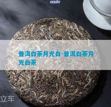 云南白茶月光白，探寻云南白茶的魅力：品鉴月光白的独特韵味