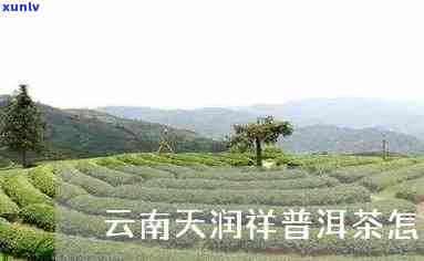 云南天润祥茶业有限责任公司，「云南天润祥茶业有限责任公司」：云南省知名茶叶，专注于高品质普洱茶的生产和销售