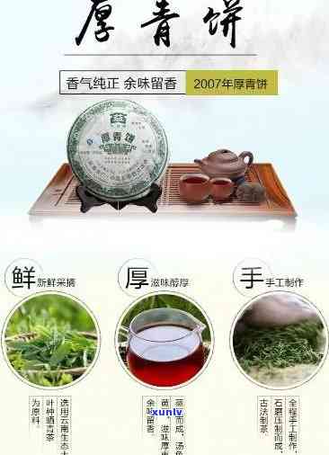 云南大叶青茶饼价格表和图片，探究云南大叶青茶饼：价格表与图片全览