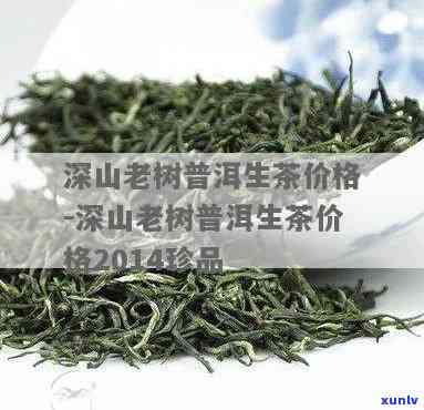 云南深山老树茶价格-云南深山老树茶价格表