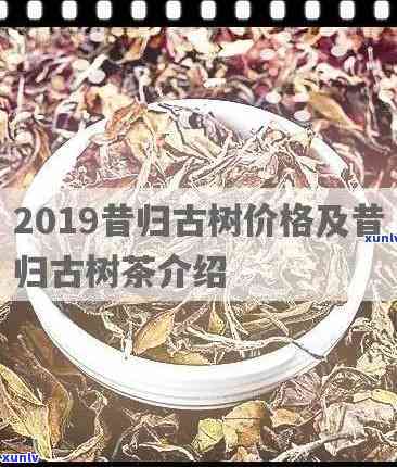 2021年昔归茶价-2021年昔归茶价格