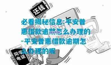 平安普借贷逾期解决  及结果解析