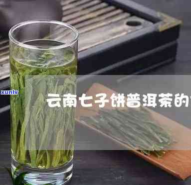 云南七子茶多少钱？价格、品质全揭秘！