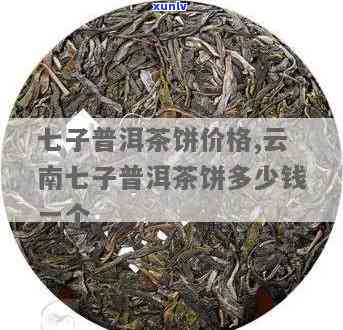 云南沧州七子茶价格-云南七子茶多少钱