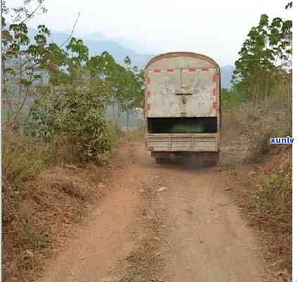 行业资深翡翠鉴赏家茂名之旅：探索原石的奥秘与魅力