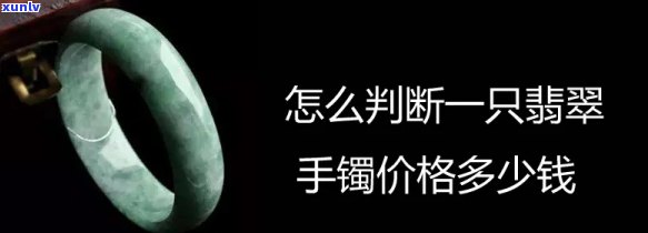 一个翡翠手镯值多少钱？价格因品质而异，从几百到数万元不等。请提供更多细节以获取准确估价。