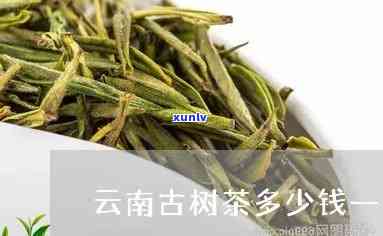 云南古树金针茶价格-云南古树金针茶价格表