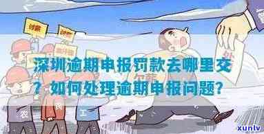 深圳逾期申报怎么办，深圳逾期申报解决方案：怎样解决和避免罚款？