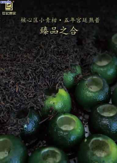 州世茗家小青柑-州世茗家小青柑样品