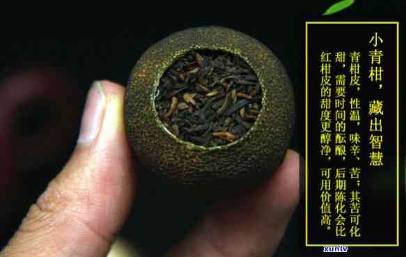 州世茗家小青柑-州世茗家小青柑样品