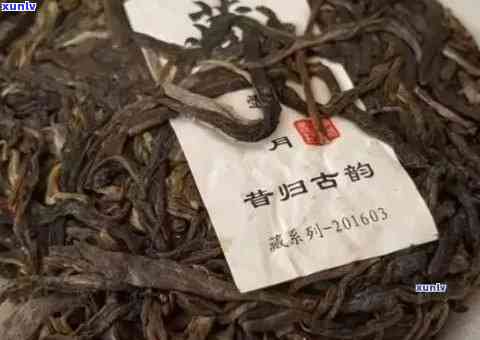 临沧昔归单株茶价格-临沧昔归茶多少钱一斤