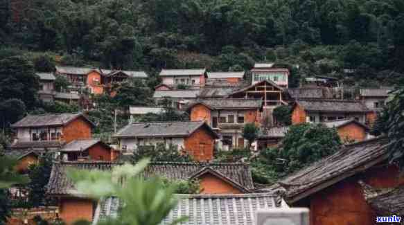 昔归位于云南省临沧市临翔区邦东乡昔归村忙麓正山，【茶文化】探寻云南临沧市临翔区邦东乡昔归村忙麓正山的韵味