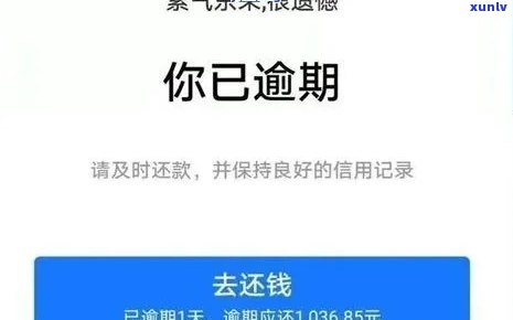 平安逾期会有什么结果？怎样查询？