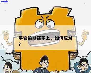 平安逾期会有什么结果？怎样查询？