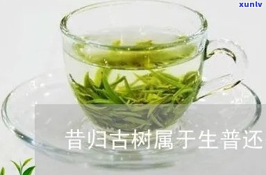 昔归茶生熟怎么区分-昔归茶是生茶还是熟茶