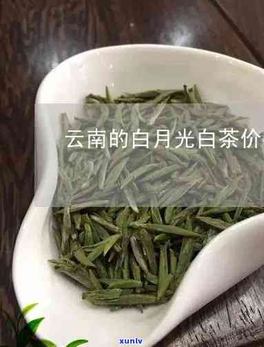 云南白月光茶价格差-云南白月光白茶