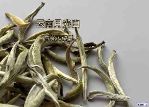 云南白月光茶价格差-云南白月光白茶