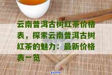 云南古树红茶价格表图片，探寻云南古树红茶的魅力：价格表与精美图片一网打尽！