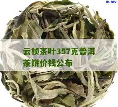 拔罐后饮普洱茶：适宜与禁忌，女生应如何选择？