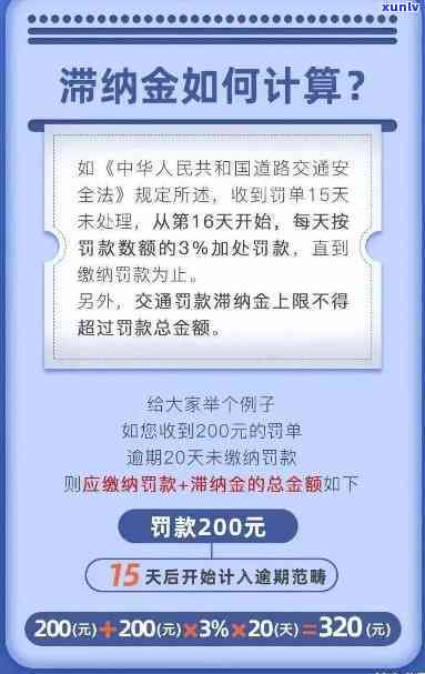 深圳罚款滞纳金计算及免除  全解析