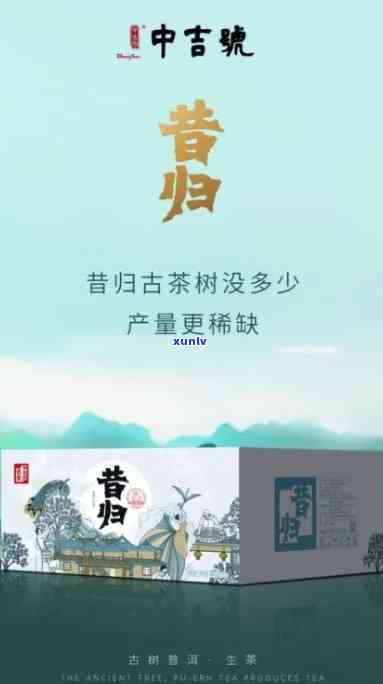 今年昔归茶品质如何-2021年昔归茶