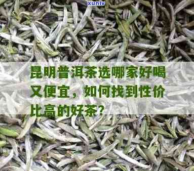 昆明哪里购买购昔归茶好？寻找优质茶叶的去处！